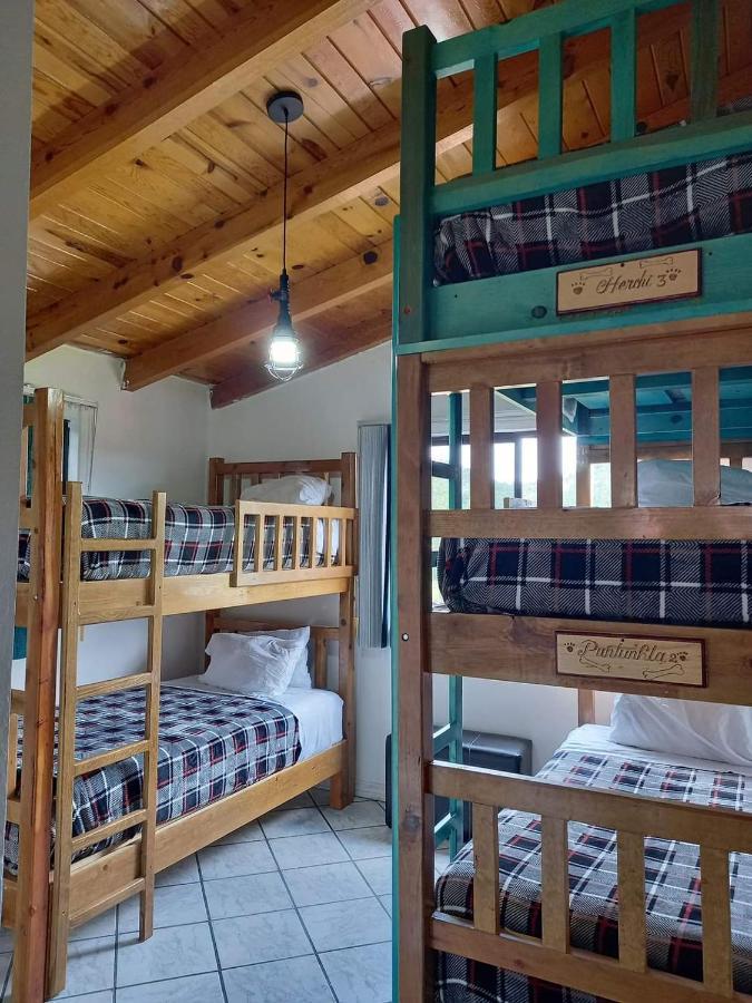 Hostal Pata De Perro Креэль Экстерьер фото